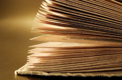Proyecto para crear una biblioteca municipal especializada