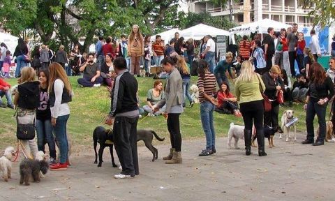 PRODEA participa de las ferias mascoteras en La Plata