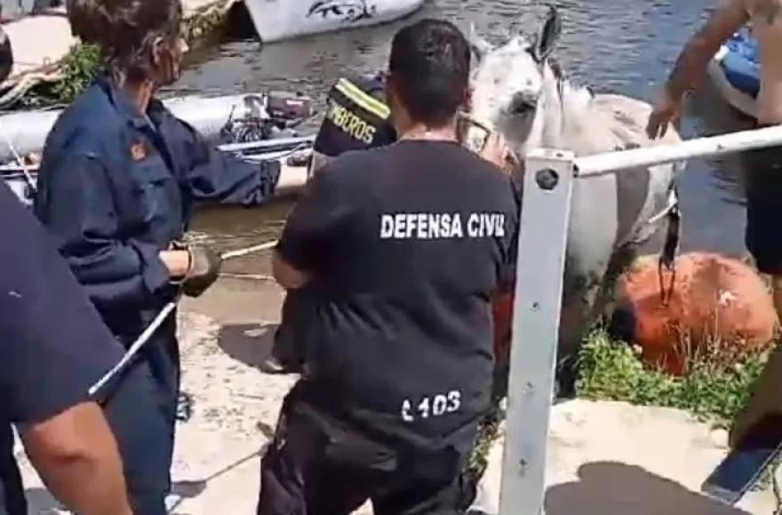 Intervención en la zona del embarcadero.