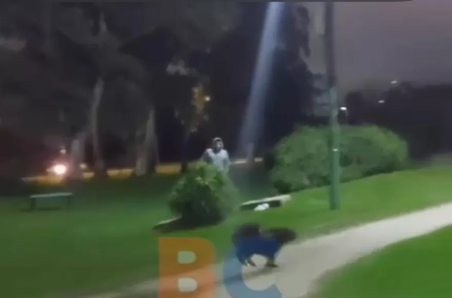 El paseo del carpincho.