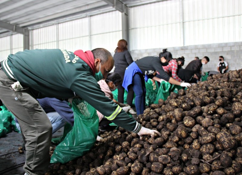 Entrega de papas a comedores.