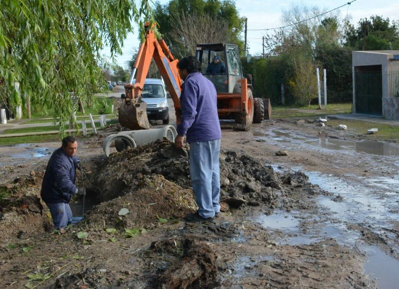 Cuadrilla en plena labor.