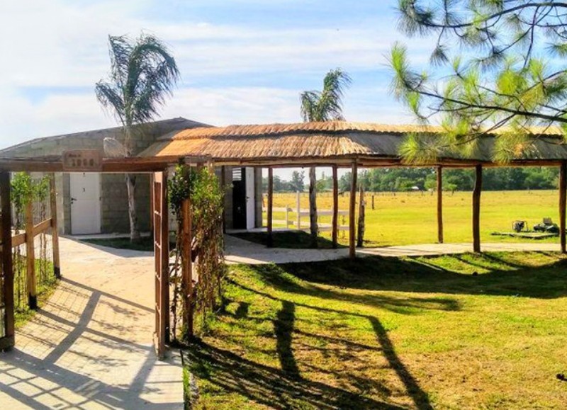 La Margarita.