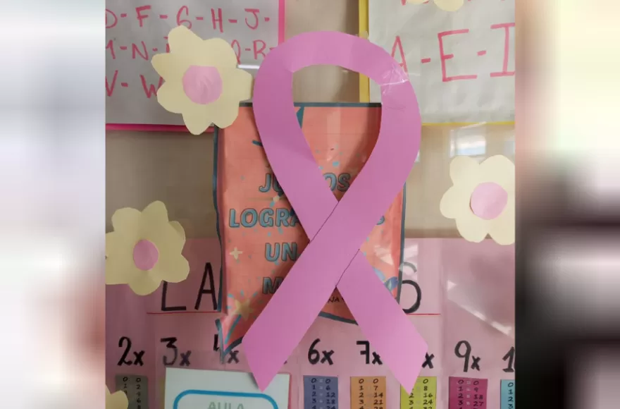 Estudiantes del Colegio San Francisco llevaron adelante un proyecto de concientización sobre el cáncer de mama.