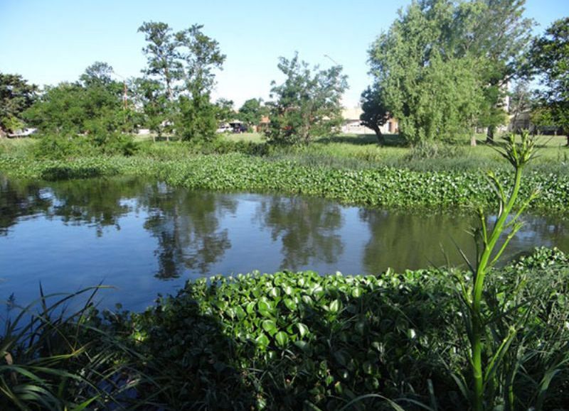 Humedal urbano de nuestra región.