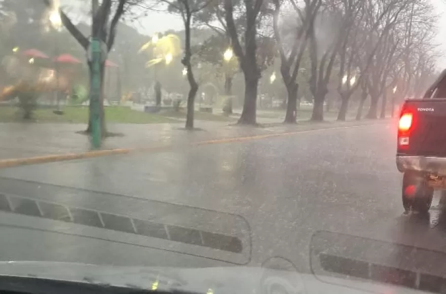 Postal a primera hora de la mañana.