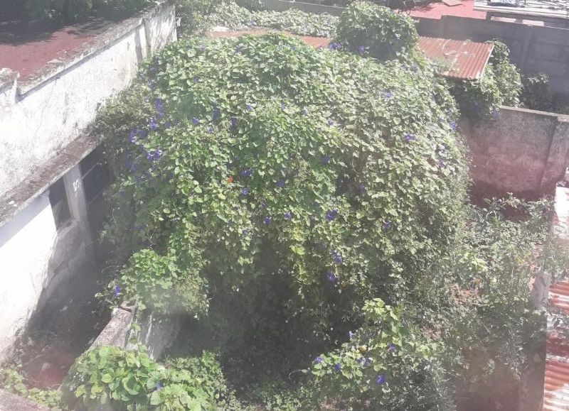 La propiedad en cuestión.