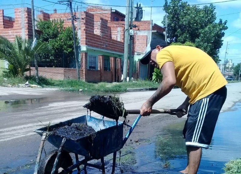 Tareas de limpieza, mantenimiento, cortes de pasto