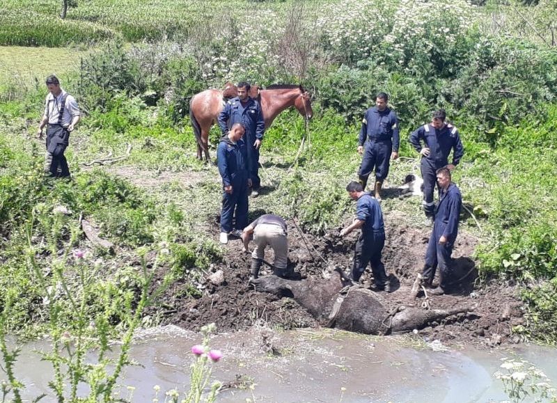 Despliegue de bomberos.