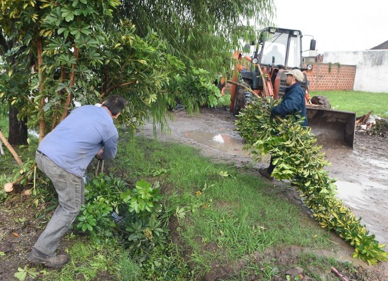 Cuadrilla en plena labor.