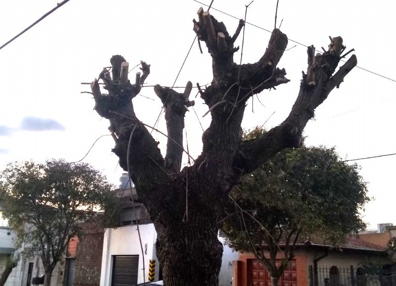 Degradación ambiental.