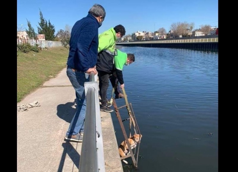 Sano y salvo.