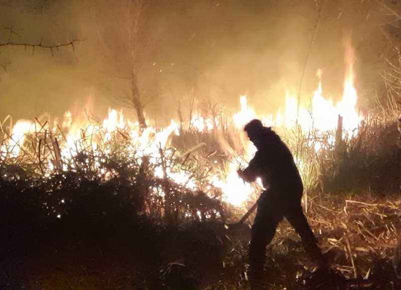 Expeditivo accionar de los bomberos.