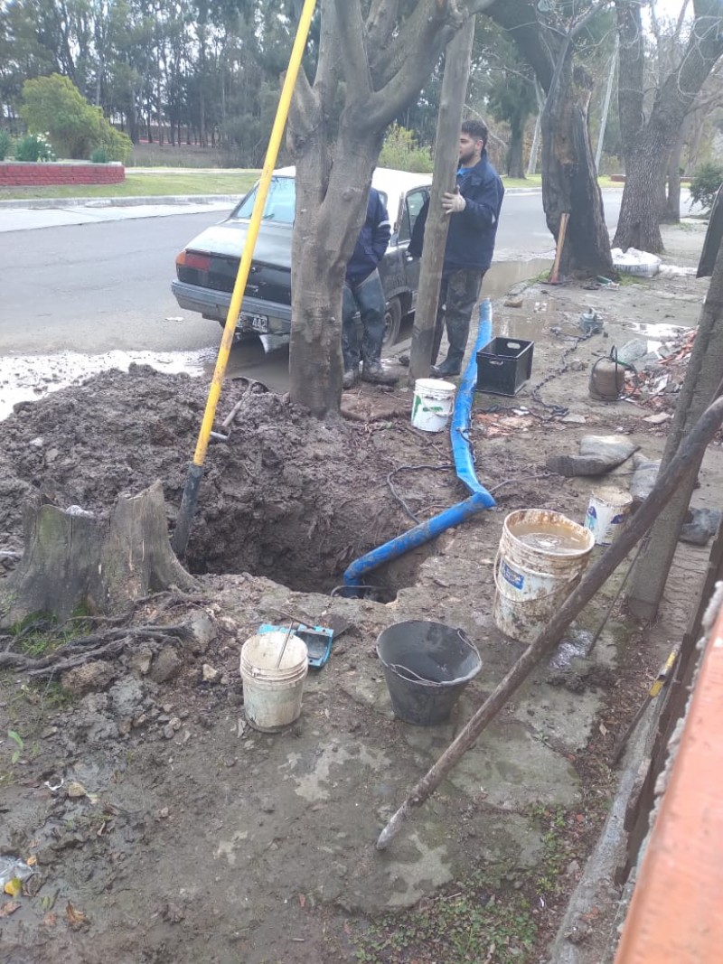 Cuadrilla en plena labor.