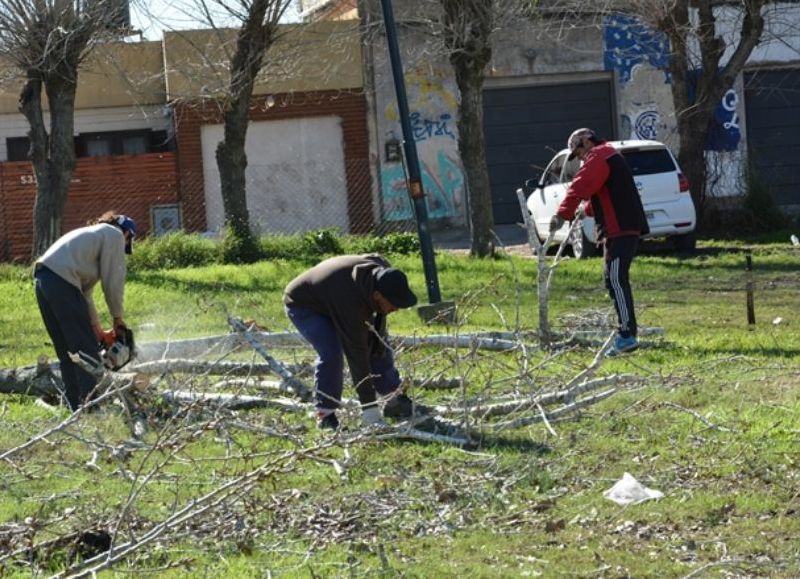 Cuadrilla en plena labor.