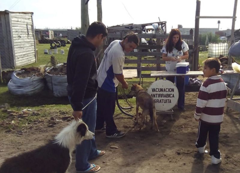 Inmunización animal.