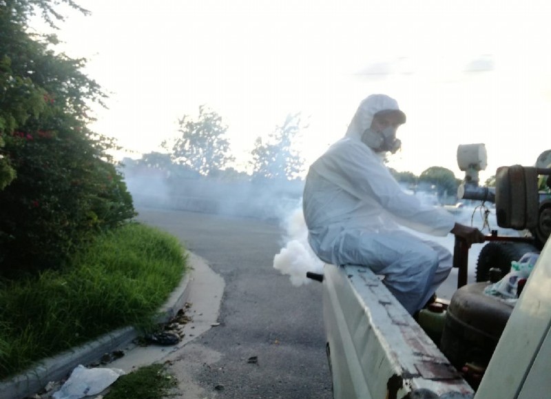 Lucha contra el dengue.