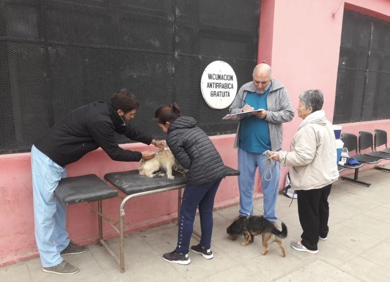 Labores del Departamento de Veterinaria.