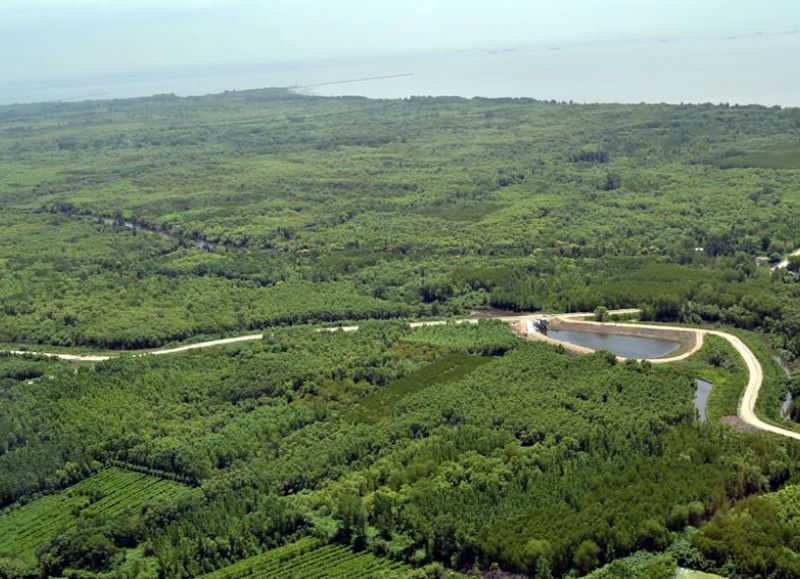 Pulmón verde en la región.