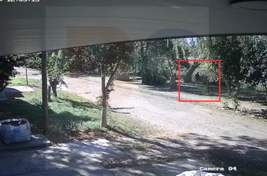 El ilícito ocurrió sobre el mediodía de este jueves.