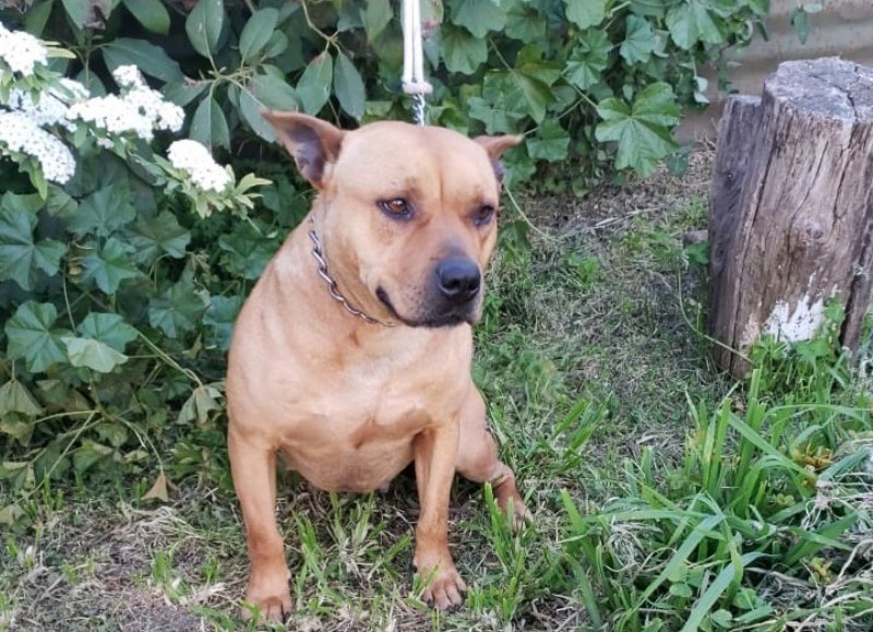 "Reina" volvió a su hogar.