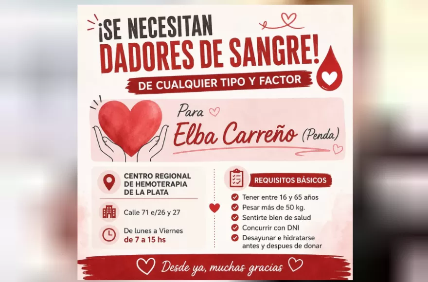 flyer sobre la donación para Elba.