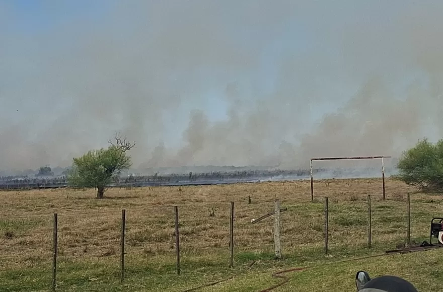 Un incendio de grandes proporciones se desató este mediodía en la zona del Camino Real entre las Rutas Provinciales N° 11 y N° 15. 
