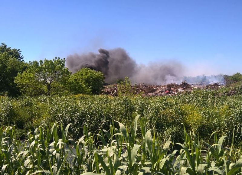 Degradación ambiental.