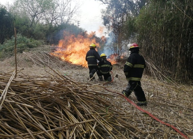 Intervención de Bomberos y de la Policía Ecológica