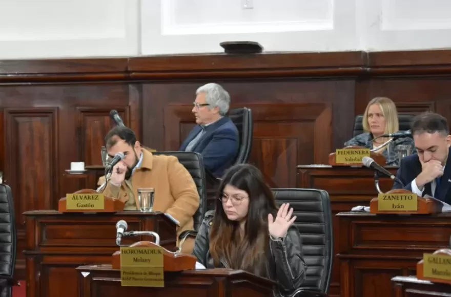 El Concejo de La Plata sesionó por última vez antes del receso invernal.