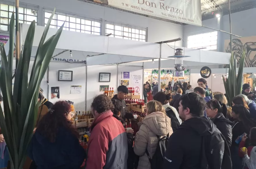 Se realiza la 22° edición de la Fiesta del Vino.