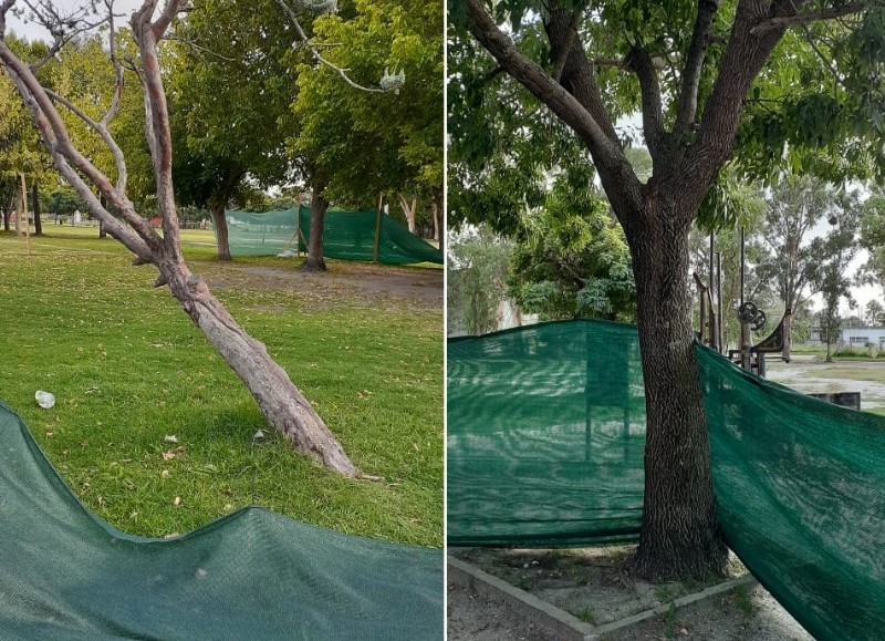 El foco puesto en la cuestión ambiental.