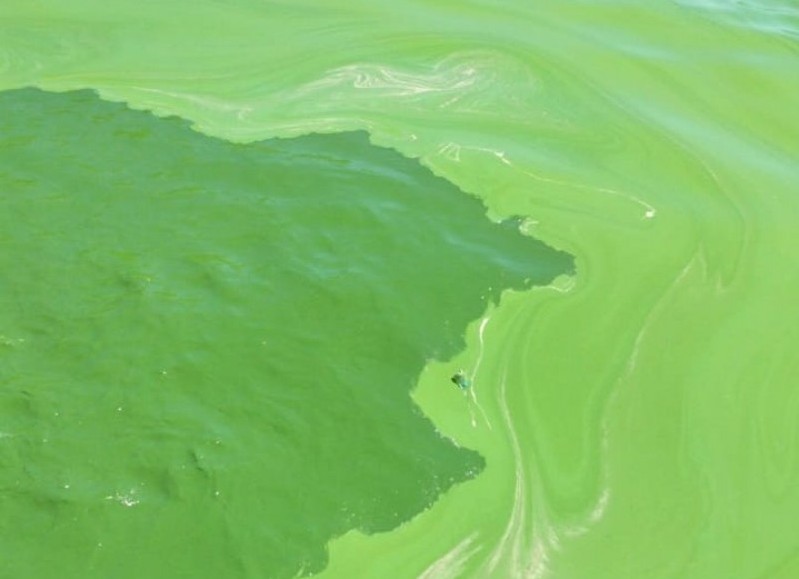 Aguas del Río de la Plata durante el fin de semana largo.