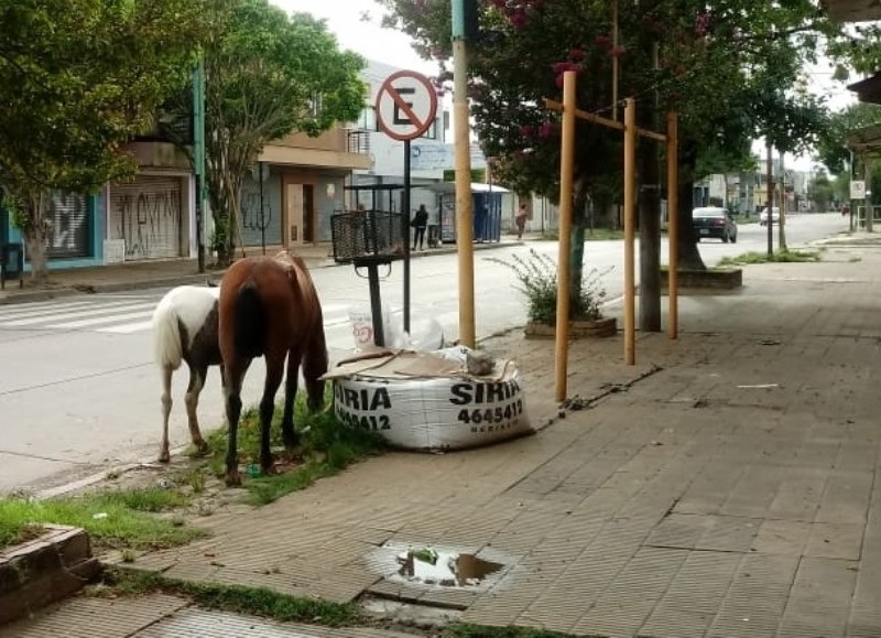 Tremendo riesgo.