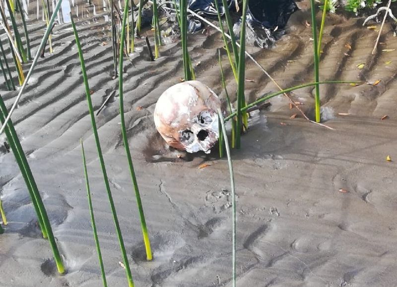 Se trata otras 20 pequeñas piezas óseas de una niña, de quien este domingo se encontró el cráneo, varias vértebras, costillas, una escápula, un metatarsiano y un cúbito.

