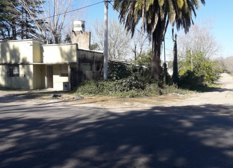 Un árbol caído, vigas y basura. Un cóctel que requiere la intervención municipal.