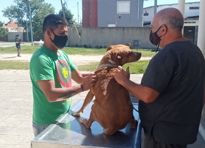 A cargo de la Secretaría de Salud municipal.