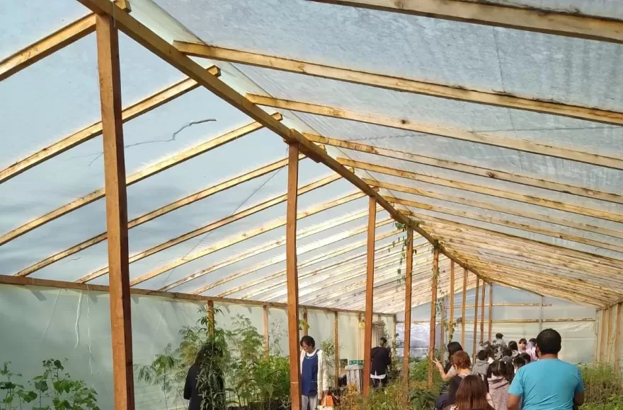 Berisso florece: el Parque Ambiental cultiva educaci&oacute;n y semillas bonaerenses