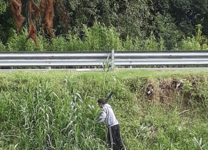 Labores sin ningún tipo de seguridad.