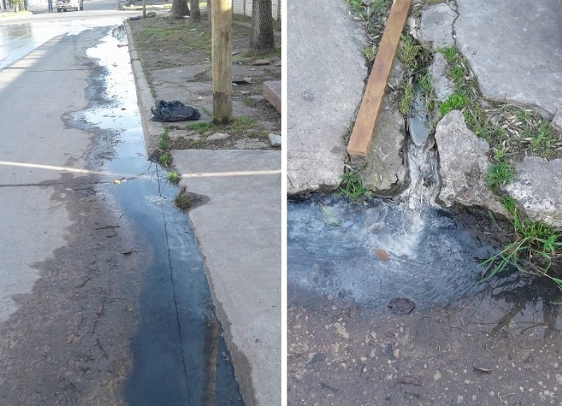 Degradación ambiental.