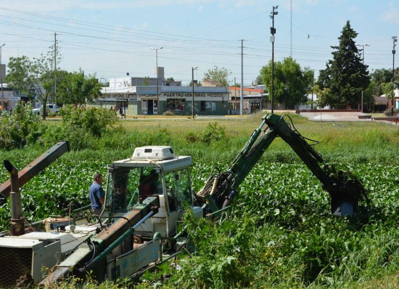 Anfidraga retira camalotes del canal