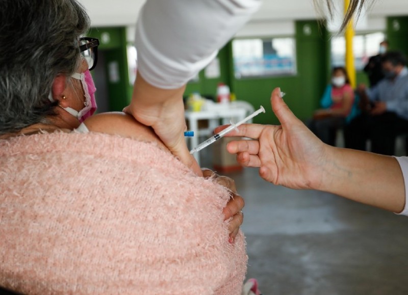 Campaña voluntaria y gratuita.