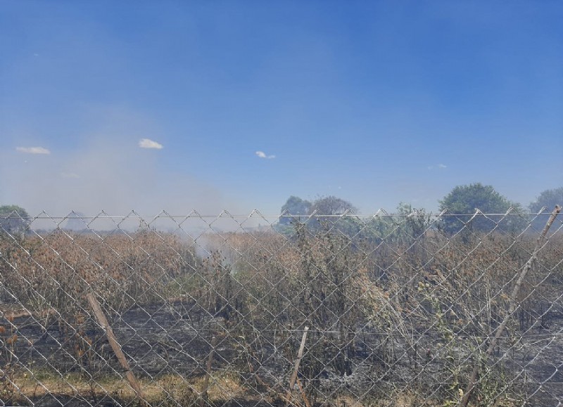 Intensa labor de los bomberos.