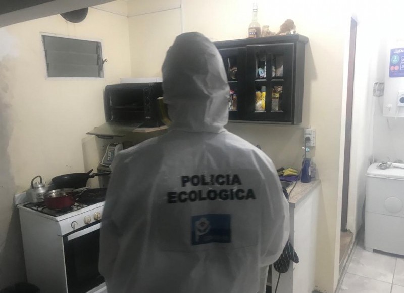 La Policía allanó un almacén en Ensenada.