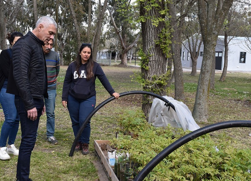 Cítricos, ciruela, durazno y pera.