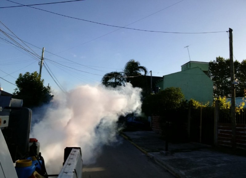 Mientras, se intensifican las labores de fumigación.