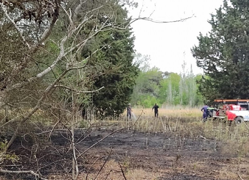 Intervención de bomberos.