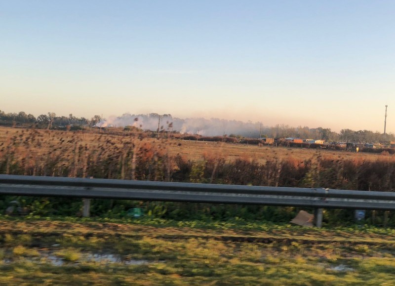 Degradación ambiental.