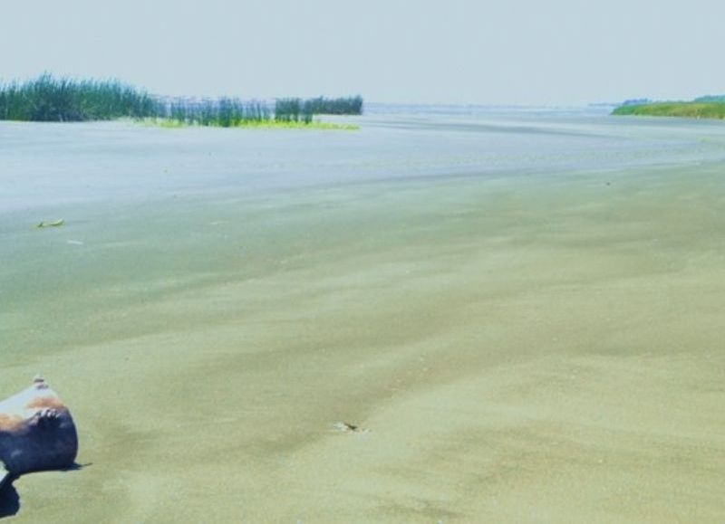 El Río Santiago y la Isla Paulino en peligro.