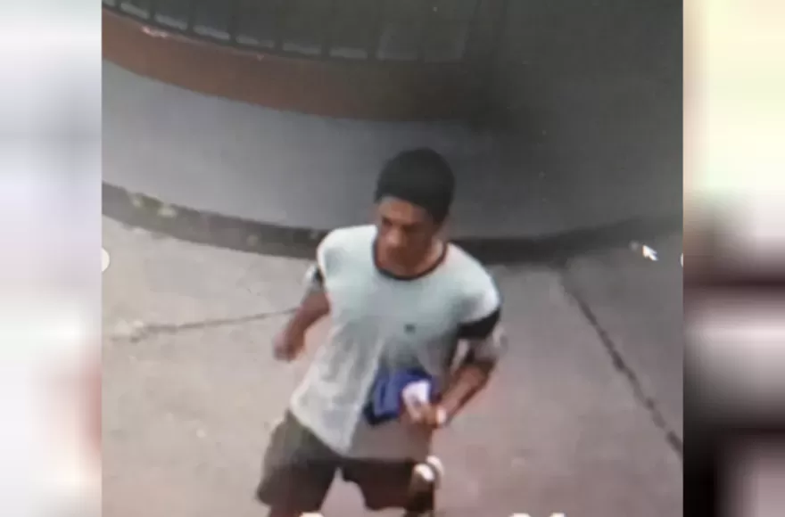 Una persona ingresó al comercio y sustrajo teléfonos celulares y otros elementos de valor.